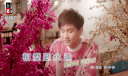 爱到永远电视剧,跨越时光的浪漫传奇